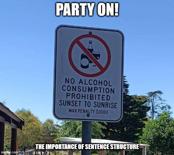 party on | PARTY ON! THE IMPORTANCE OF SENTENCE STRUCTURE | image tagged in durl earl | made w/ Imgflip meme maker