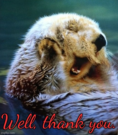Blushing Otter | Well, thank you. | image tagged in blushing otter | made w/ Imgflip meme maker