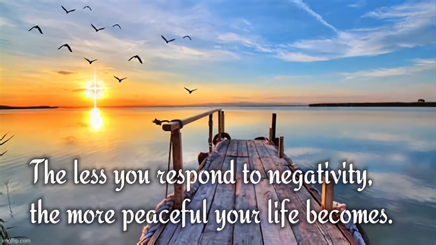 Negativity ♡ | image tagged in negative,people,finally inner peace | made w/ Imgflip meme maker