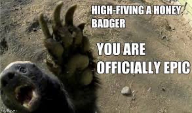 Have a good day | image tagged in honey badger | made w/ Imgflip meme maker