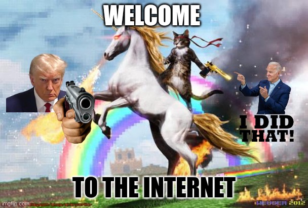 Cat riding unicorn | WELCOME; TO THE INTERNET | image tagged in cat riding unicorn | made w/ Imgflip meme maker