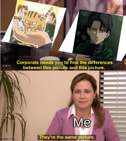 Palmtop Levi | Me | image tagged in they're the same picture,toradora,snk,aot,levi,palmtop tiger | made w/ Imgflip meme maker