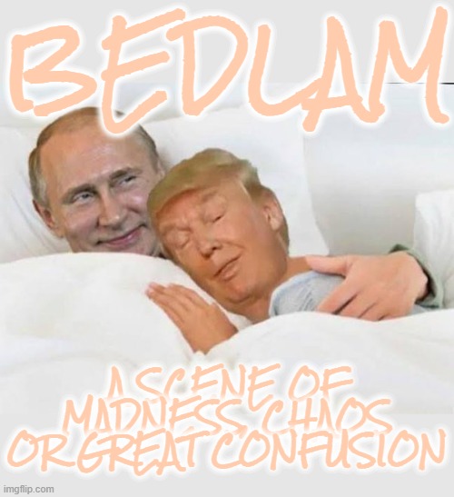 BED LAMB | BEDLAM; A SCENE OF MADNESS, CHAOS OR GREAT CONFUSION | image tagged in bedlam,chaos,confusion,madness,disorder,turmoil | made w/ Imgflip meme maker