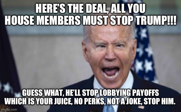 Biden Scream | HERE’S THE DEAL, ALL YOU HOUSE MEMBERS MUST STOP TRUMP!!! GUESS WHAT, HE’LL STOP LOBBYING PAYOFFS WHICH IS YOUR JUICE, NO PERKS, NOT A JOKE, STOP HIM. | image tagged in biden scream | made w/ Imgflip meme maker