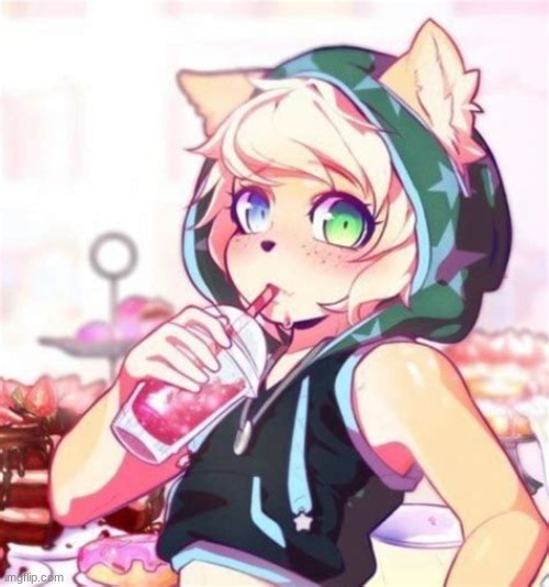 Femboy furry | image tagged in femboy furry | made w/ Imgflip meme maker