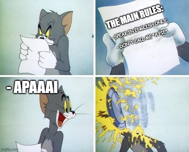 Tom and Jerry custard pie | - SPEAK IN ENGLISH ONLY;
 
- DON'T CALL ME "A PIE". THE MAIN RULES:; - APAAAI | image tagged in tom and jerry custard pie | made w/ Imgflip meme maker