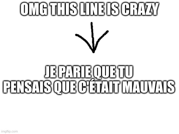 Go ahead and translate | OMG THIS LINE IS CRAZY; JE PARIE QUE TU PENSAIS QUE C'ÉTAIT MAUVAIS | image tagged in memes | made w/ Imgflip meme maker