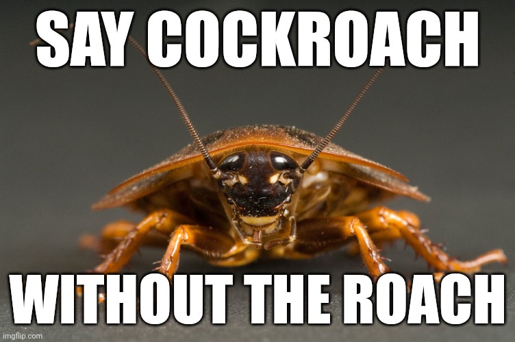 Say it | SAY COCKROACH; WITHOUT THE ROACH | image tagged in memes,funny,cockroach,joke | made w/ Imgflip meme maker