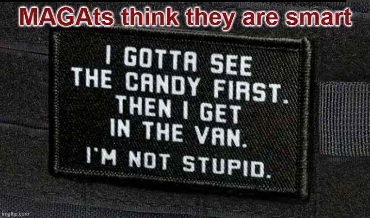 MAGAts think they are smart. Van Candy | MAGAts think they are smart | image tagged in trump,pedophiles,abuse,republican,sexual,authoritarian | made w/ Imgflip meme maker