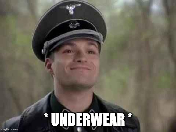 grammar nazi | * UNDERWEAR * | image tagged in grammar nazi | made w/ Imgflip meme maker