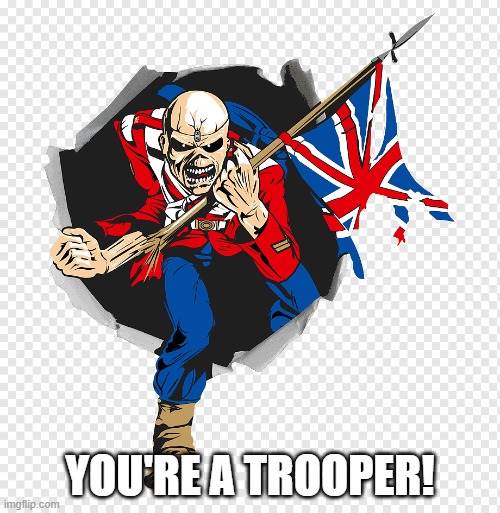 Iron Maiden | YOU'RE A TROOPER! | image tagged in iron maiden | made w/ Imgflip meme maker