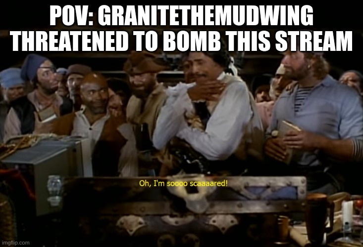It's good to be the king - Mel Brooks | POV: GRANITETHEMUDWING THREATENED TO BOMB THIS STREAM | image tagged in oh i'm so scared | made w/ Imgflip meme maker