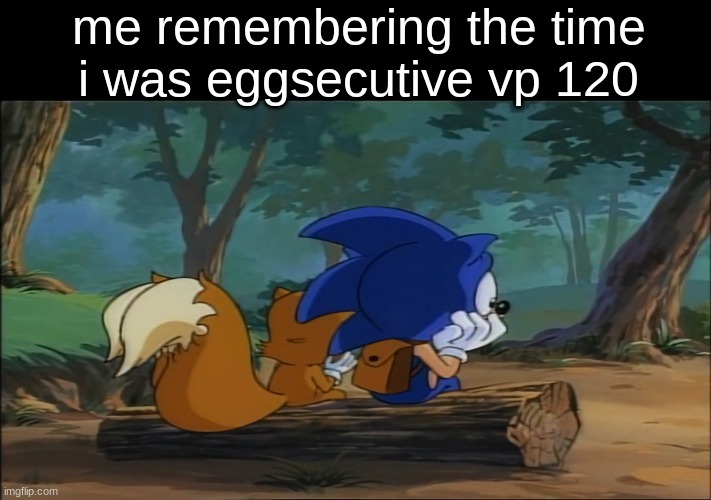 now im stuck at profreshional +3 | me remembering the time i was eggsecutive vp 120 | image tagged in tails and sonic sad | made w/ Imgflip meme maker