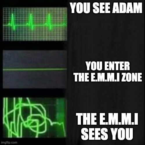 metroid dread be like: | YOU SEE ADAM; YOU ENTER THE E.M.M.I ZONE; THE E.M.M.I SEES YOU | image tagged in leave it blank please | made w/ Imgflip meme maker
