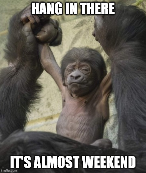 Gorilla Baby | HANG IN THERE; IT'S ALMOST WEEKEND | image tagged in weekend,friday | made w/ Imgflip meme maker