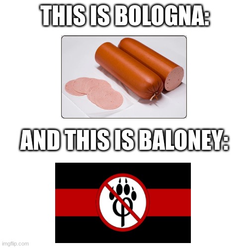 Random format i thought up | THIS IS BOLOGNA:; AND THIS IS BALONEY: | image tagged in memes,furry memes,furry,the furry fandom | made w/ Imgflip meme maker