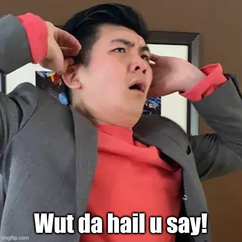 Wut da hail u say | Wut da hail u say! | image tagged in wut da hail u say | made w/ Imgflip meme maker