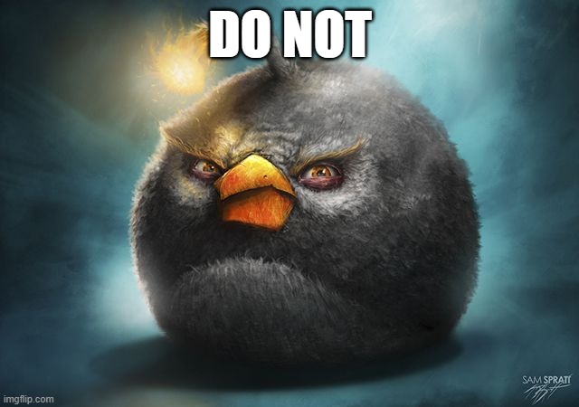 angry birds bomb | DO NOT | image tagged in angry birds bomb | made w/ Imgflip meme maker