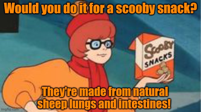 Nom nom nom | Would you do it for a scooby snack? They're made from natural sheep lungs and intestines! | image tagged in scooby snacks,mystery,meat,stop it get some help | made w/ Imgflip meme maker