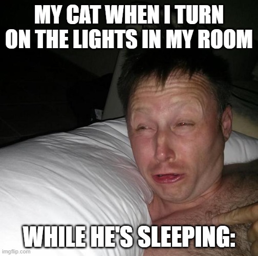PFFFT THIS IS MY CAT STRAIGHT UP XD | MY CAT WHEN I TURN ON THE LIGHTS IN MY ROOM; WHILE HE'S SLEEPING: | image tagged in limmy waking up | made w/ Imgflip meme maker
