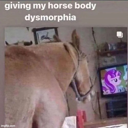 dysmorphia | image tagged in memes | made w/ Imgflip meme maker