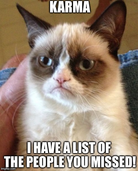 Grumpy Cat Meme | KARMA I HAVE A LIST OF THE PEOPLE YOU MISSED! | image tagged in memes,grumpy cat | made w/ Imgflip meme maker