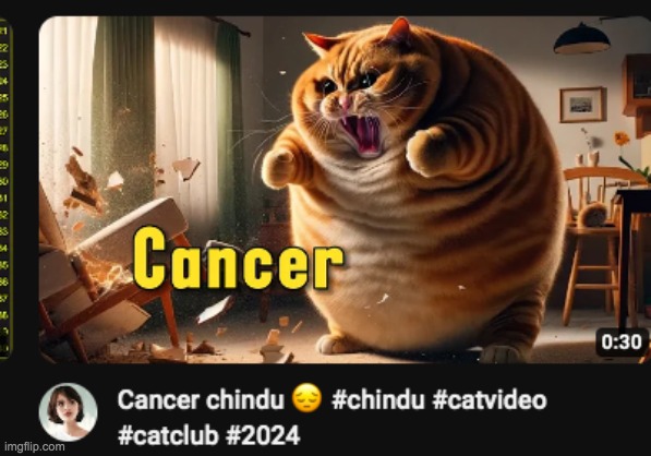 cursed cat video... wtf | image tagged in cursed image,cursed | made w/ Imgflip meme maker