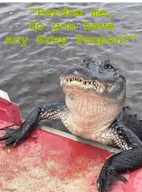 Grey Poupon Alligator | "Pardon me, do you have any Grey Poupon?" | image tagged in alligator | made w/ Imgflip meme maker