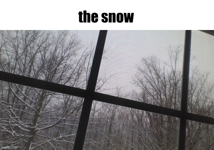 the snow | made w/ Imgflip meme maker