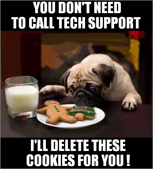 Crunchy Treats ! | YOU DON'T NEED TO CALL TECH SUPPORT; I'LL DELETE THESE
COOKIES FOR YOU ! | image tagged in dogs,pugs,tech support,cookies | made w/ Imgflip meme maker
