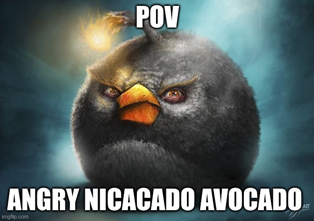 angry birds bomb | POV; ANGRY NICACADO AVOCADO | image tagged in angry birds bomb | made w/ Imgflip meme maker