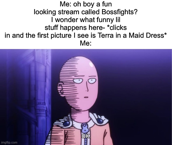 Based on a true story | Me: oh boy a fun looking stream called Bossfights? I wonder what funny lil stuff happens here- *clicks in and the first picture I see is Terra in a Maid Dress*
Me: | image tagged in text box,saitama ok | made w/ Imgflip meme maker