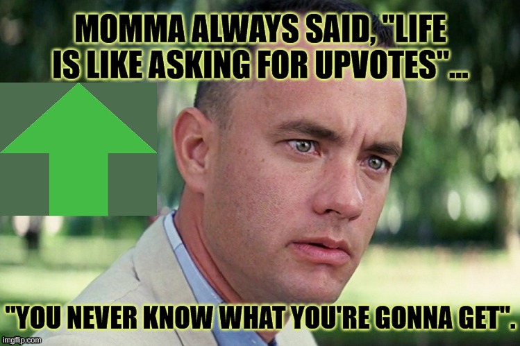 Forrest upvotes | image tagged in forrest upvotes | made w/ Imgflip meme maker