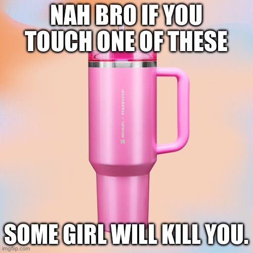 Pink Stanley Cup | NAH BRO IF YOU TOUCH ONE OF THESE; SOME GIRL WILL KILL YOU. | image tagged in pink stanley cup | made w/ Imgflip meme maker