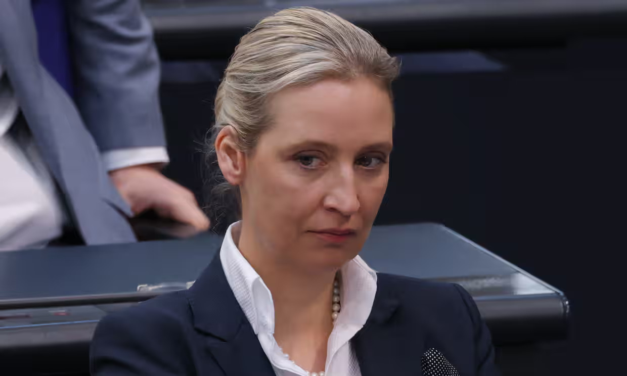 Alice Weidel Blank Meme Template