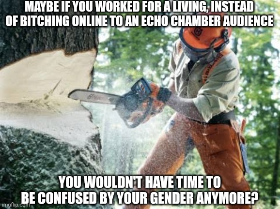 Blue collar workers. They are just not worried about your problems. | MAYBE IF YOU WORKED FOR A LIVING, INSTEAD OF BITCHING ONLINE TO AN ECHO CHAMBER AUDIENCE; YOU WOULDN'T HAVE TIME TO BE CONFUSED BY YOUR GENDER ANYMORE? | image tagged in logger,blue collar,hard work,expectation vs reality,real life,youtuber | made w/ Imgflip meme maker