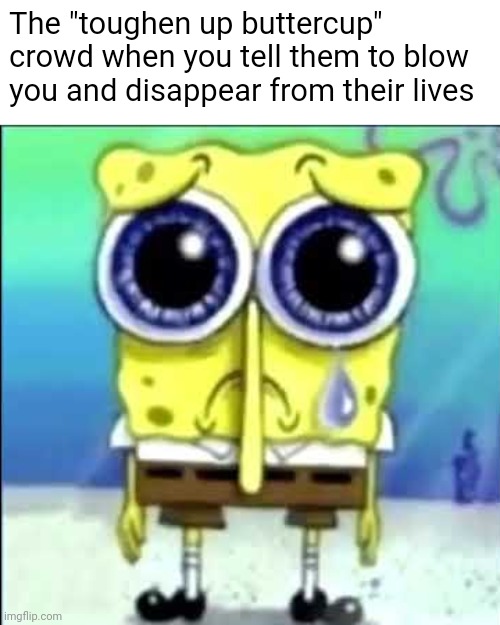 Sad Spongebob | The "toughen up buttercup" crowd when you tell them to blow you and disappear from their lives | image tagged in sad spongebob,memes,tough guy | made w/ Imgflip meme maker