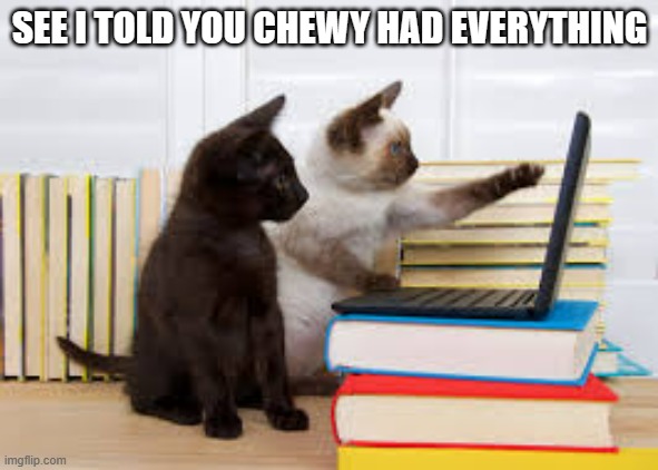 meme by Brad cats on computer Chewy | SEE I TOLD YOU CHEWY HAD EVERYTHING | image tagged in cats,cat,funny cats,funny cat memes,humor,funny | made w/ Imgflip meme maker