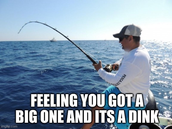 fishing  | FEELING YOU GOT A BIG ONE AND ITS A DINK | image tagged in fishing | made w/ Imgflip meme maker