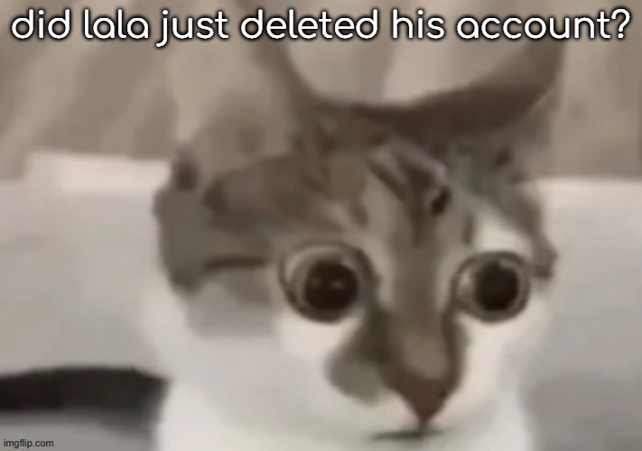 bombastic side eye cat | did lala just deleted his account? | image tagged in bombastic side eye cat | made w/ Imgflip meme maker