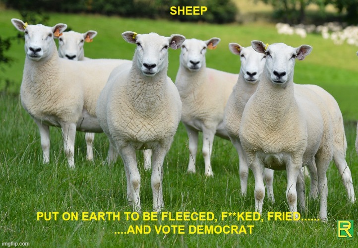 Sheeple Purpose | image tagged in sheeple | made w/ Imgflip meme maker