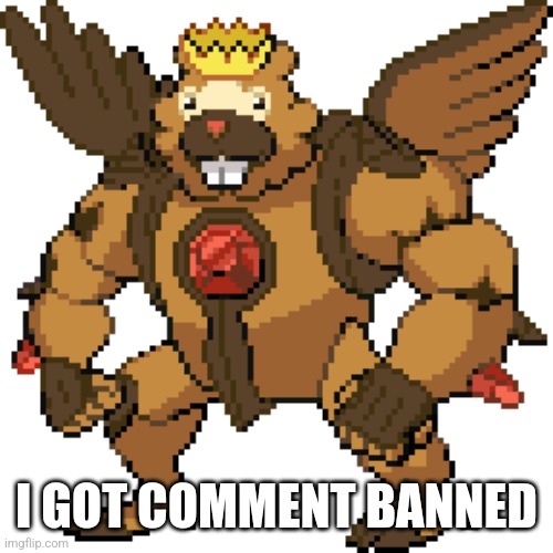 GOD BIDOOF | I GOT COMMENT BANNED | image tagged in god bidoof | made w/ Imgflip meme maker