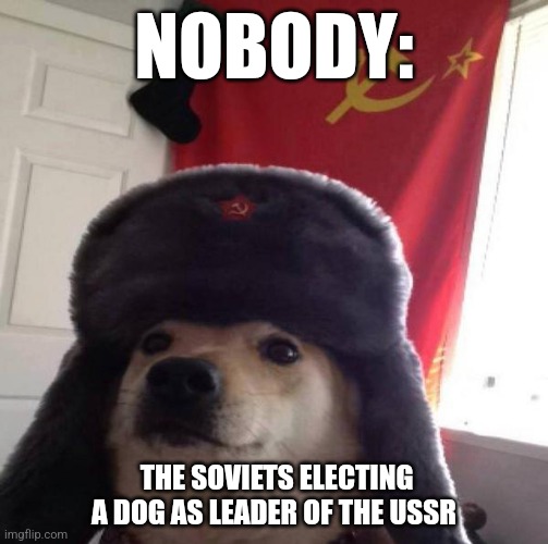 Long live the Soviet President dog | NOBODY:; THE SOVIETS ELECTING A DOG AS LEADER OF THE USSR | image tagged in russian doge,communism,doge,jpfan102504 | made w/ Imgflip meme maker