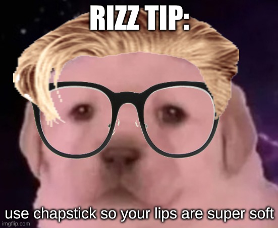 uncomfortable rizz tips pt 1 | RIZZ TIP:; use chapstick so your lips are super soft | image tagged in sp3x_ puppers | made w/ Imgflip meme maker