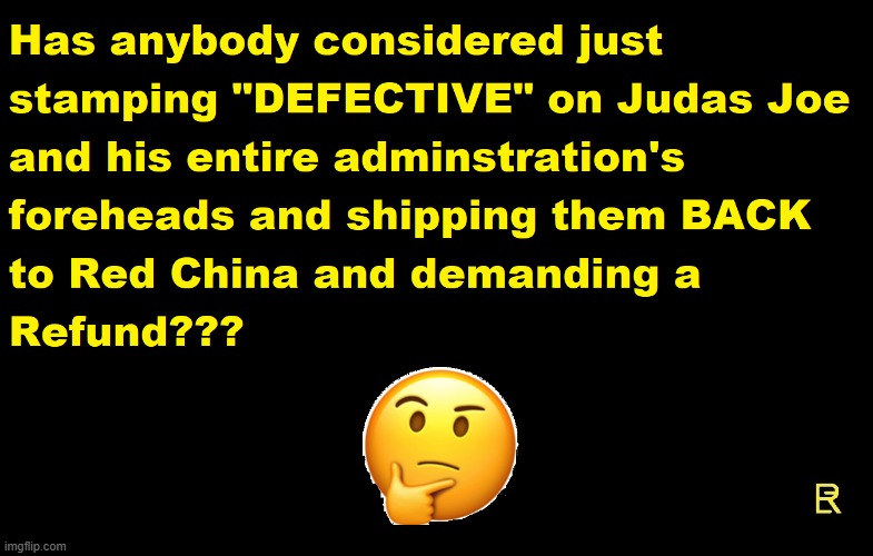 Defective Defector | image tagged in biden | made w/ Imgflip meme maker