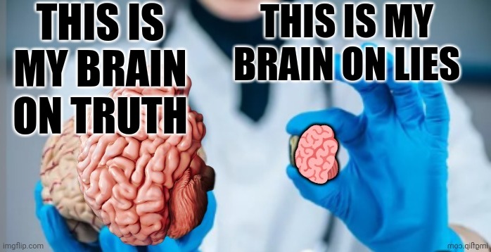 My brain is alive. | THIS IS MY BRAIN ON TRUTH; THIS IS MY BRAIN ON LIES | image tagged in yeah it's big brain time | made w/ Imgflip meme maker
