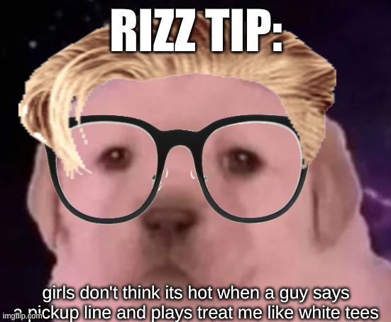 uncomfortable rizz tips pt 2 | RIZZ TIP:; girls don't think its hot when a guy says a pickup line and plays treat me like white tees | image tagged in sp3x_ puppers,uncomfortable rizz tips | made w/ Imgflip meme maker