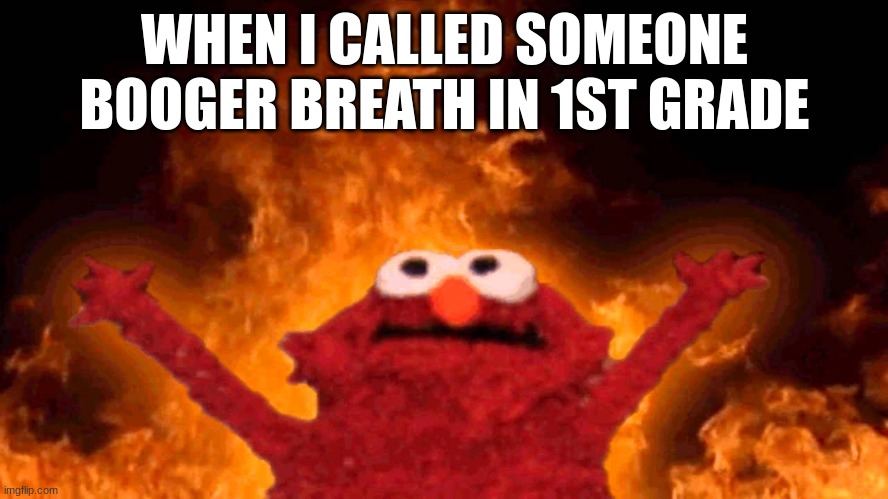 image title | WHEN I CALLED SOMEONE BOOGER BREATH IN 1ST GRADE | image tagged in elmo fire | made w/ Imgflip meme maker