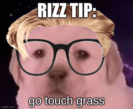 uncomfortable rizz tips pt 3 | RIZZ TIP:; go touch grass | image tagged in sp3x_ puppers,uncomfortable rizz tips | made w/ Imgflip meme maker