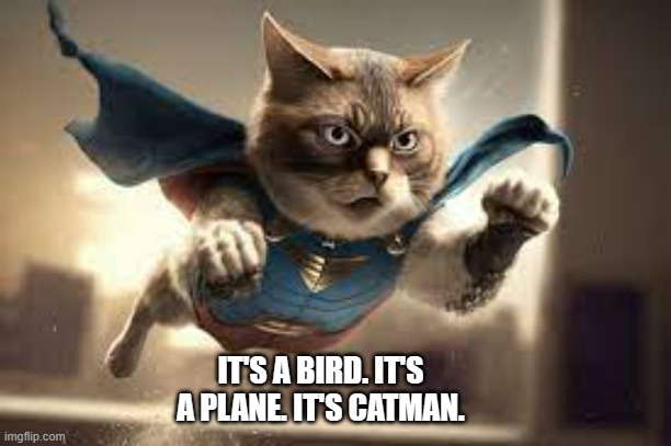 meme by Brad It's Cat man | IT'S A BIRD. IT'S A PLANE. IT'S CATMAN. | image tagged in cats,cat,funny cat memes,cat meme,funny meme,humor | made w/ Imgflip meme maker